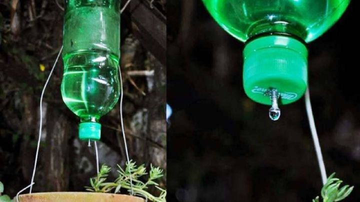 No lo tires, transforma tus botellas plásticas en un sistema de riego para tu jardín