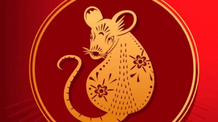 Horóscopo chino: que debe esperar la Rata durante mayo