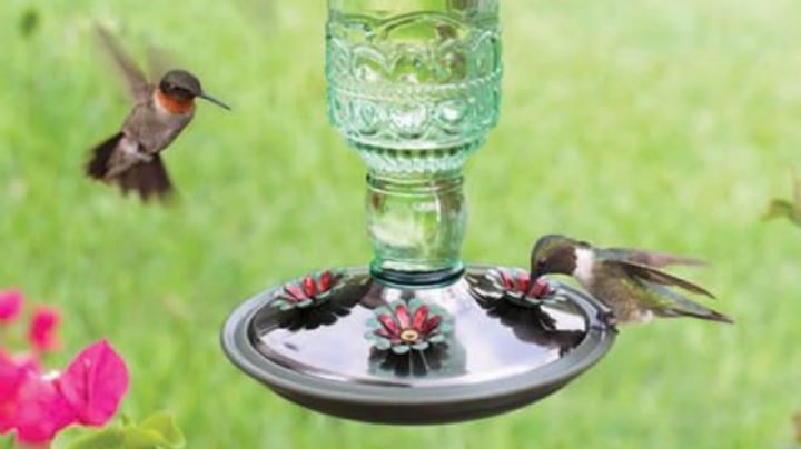 No lo tires, transforma botellas plásticas en bebederos para colibries
