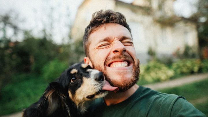 Lenguaje animal, 4 formas que tu perro tiene para decir "te quiero"