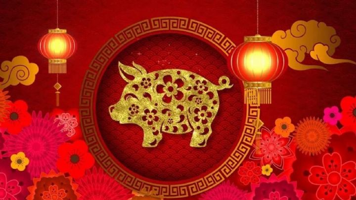 Horóscopo Chino: qué debe esperar el Cerdo en el mes de mayo