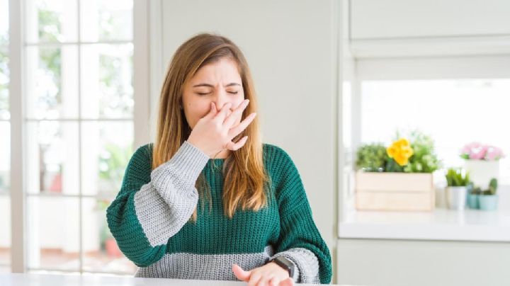 6 efectivos consejos de limpieza para quitar el mal olor de los ambientes de forma natural