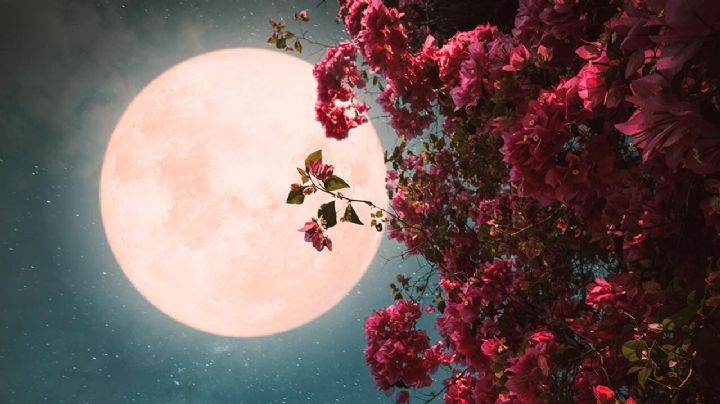 Ritual de Luna llena para atraer la prosperidad en mayo