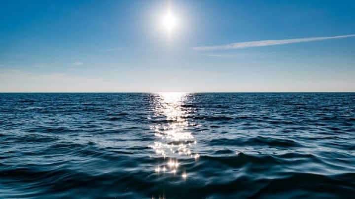 Cambio Climático: la comunidad científica en alerta máxima por la temperatura de los océanos