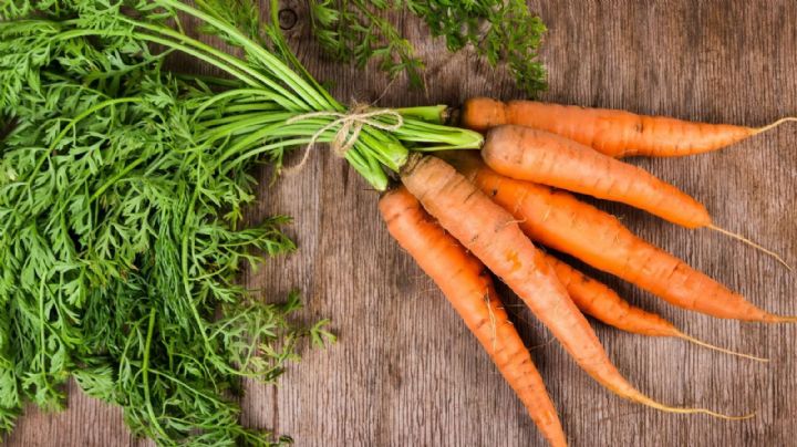 Huerta Urbana: tips para cultivar zanahoria en bolsa