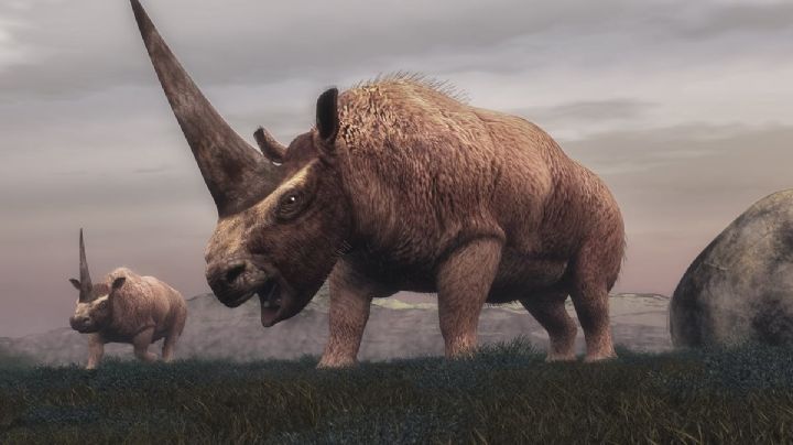 ¿Existieron los unicornios? La palabra de la ciencia