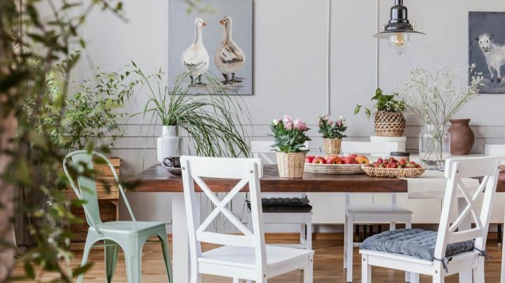 Decoración naturalista, 5 maneras de incorporar plantas en la decoración y darle vida al hogar