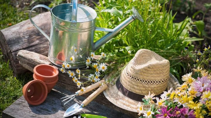5 tareas para realizar en el jardín durante el invierno y prepararlo para la próxima primavera