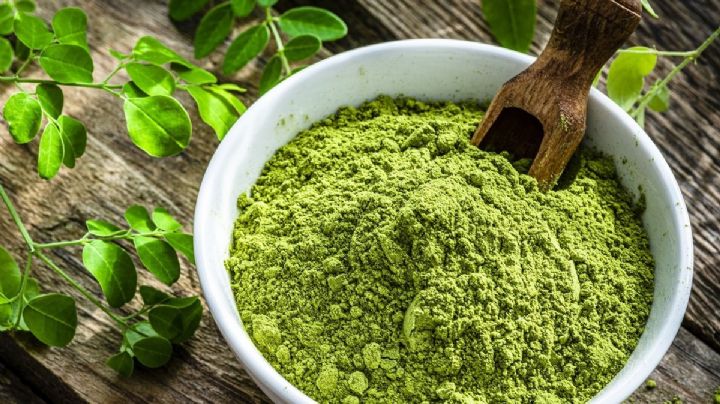 Moringa, una planta con múltiples beneficios que deberías tener en casa