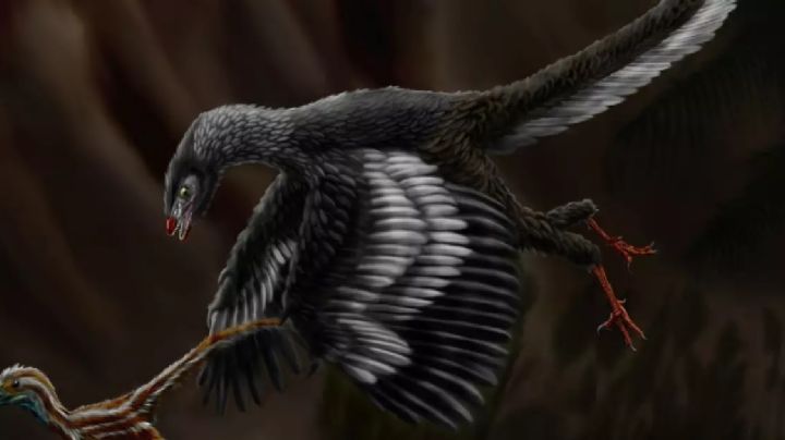 Ciencia: un fósil podría ser la clave para saber por qué los dinosaurios se volvieron aves