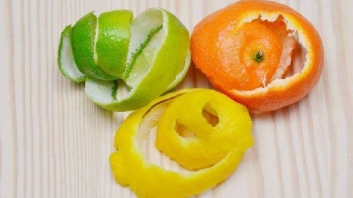 Limón, mandarina y naranja, como usar sus cáscaras para proteger y mejorar las plantas de tu jardín