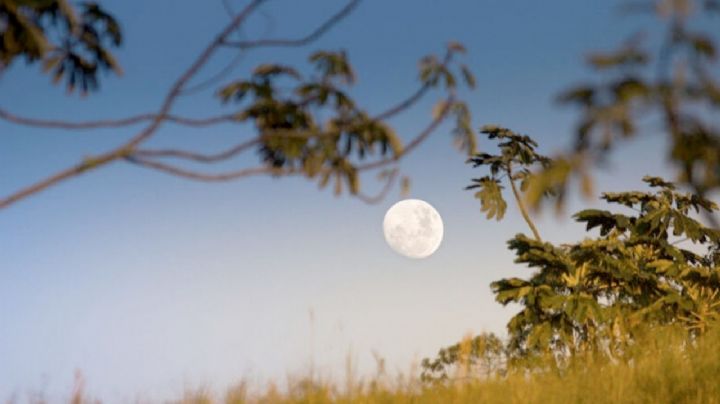 La ciencia explica por qué motivo a veces podemos ver la luna a plena luz del día