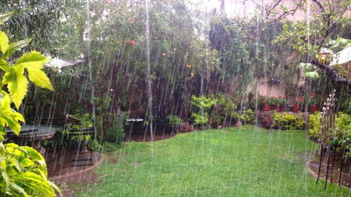 Prepara tu jardín para la próxima temporada de lluvias con estas sugerencias