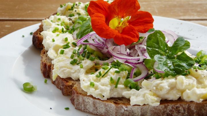 Flores comestibles, 4 variedades que ornamentan tu jardín y enriquecen tus comidas