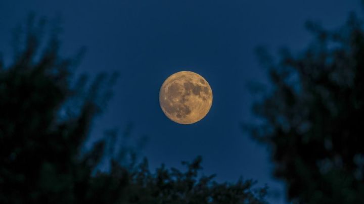 Como altera nuestro comportamiento las fases de la luna según la ciencia