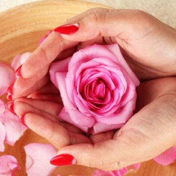 Aprende cómo hacer en casa el agua de rosas naturales, el secreto de la belleza ancestral