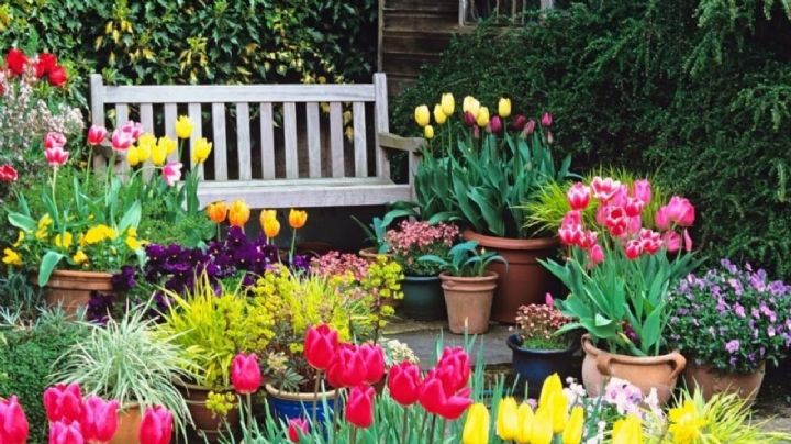10 ideas creativas para decorar tu jardín con flores esta primavera