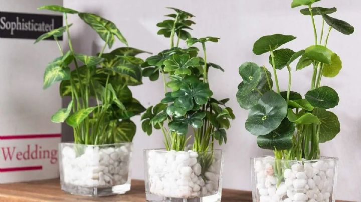 Crea tus propias plantas artificiales con esta simple idea de manualidades