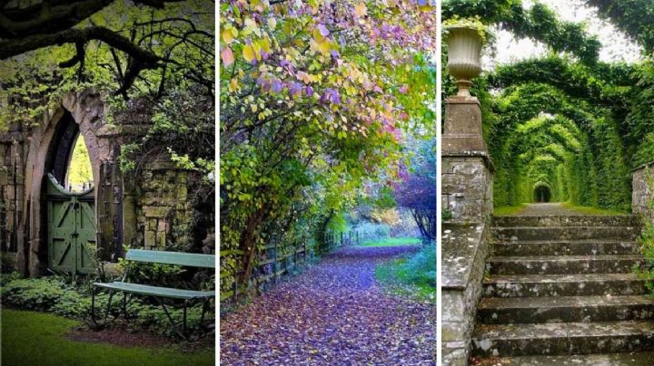 7 trucos para el jardín que lo harán lucir como en un cuento de hadas