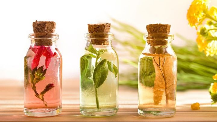 Perfume casero: 2 maneras de lograr esencias aromáticas con flores del jardín