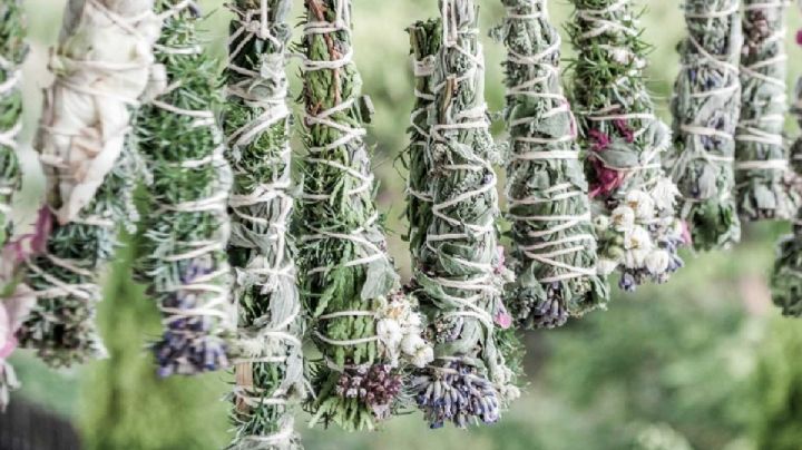 Sahumerios caseros: cómo prepararlos con las plantas aromáticas de tu jardín