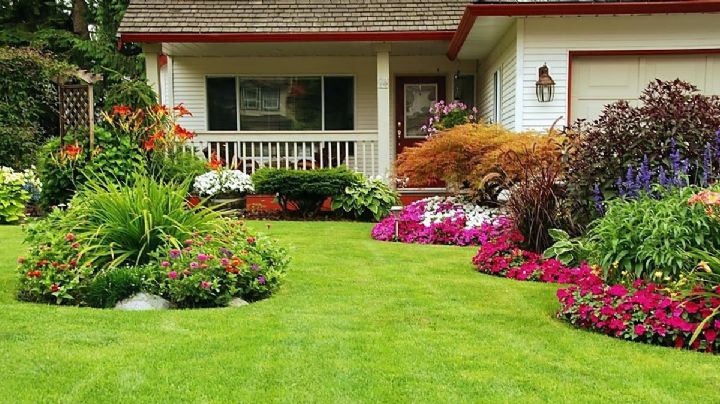 5 consejos para mantener el césped del jardín bien saludable, ahorrando tiempo y dinero