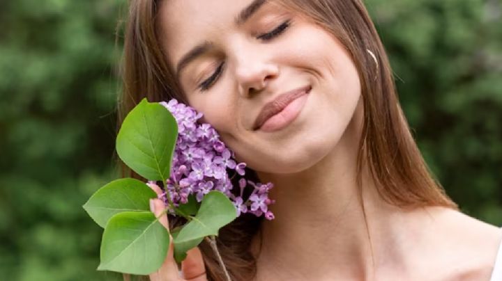 Aromaterapia con flores del jardín: crea tus propios aceites esenciales y disfruta de sus beneficios
