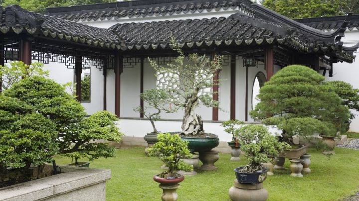 Feng Shui: consejos y sugerencias para aplicar sus principios en el diseño del jardín