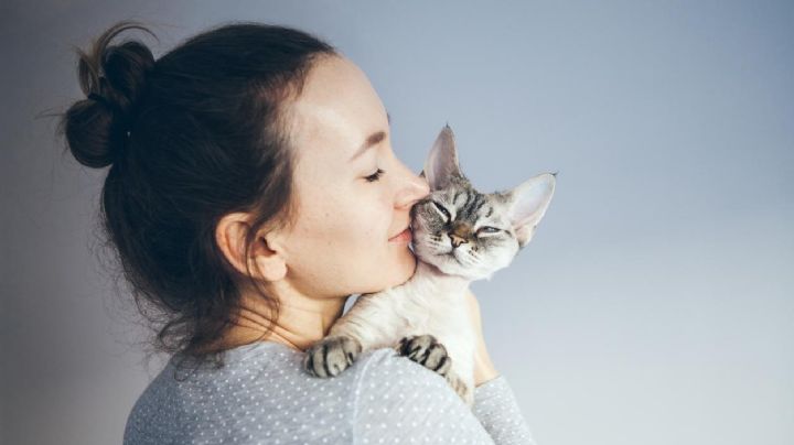 4 razas de gato que pierden muy poco pelo