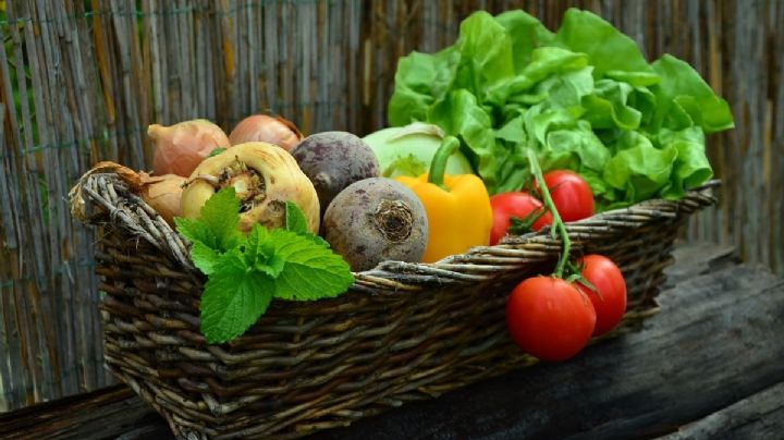 7 hortalizas y verduras que te mantienen deshinchado y saludable