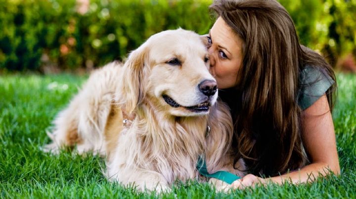6 maneras en las que tu perro te dice que confía en ti