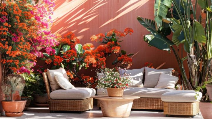 Estas son las 4 plantas con flores más resistentes al sol, ideales para tu terraza o jardín