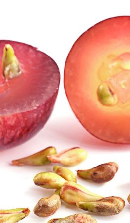 Descubre el increíble poder antioxidante de las semillas de uva y los beneficios de consumirlas