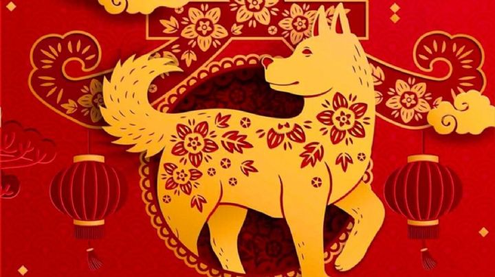 Horóscopo Chino: cómo será la suerte del Perro en el año del Dragón