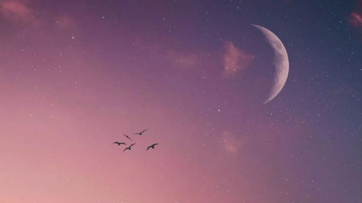 Horóscopo: estos son los signos más afectados por la Luna Nueva en piscis