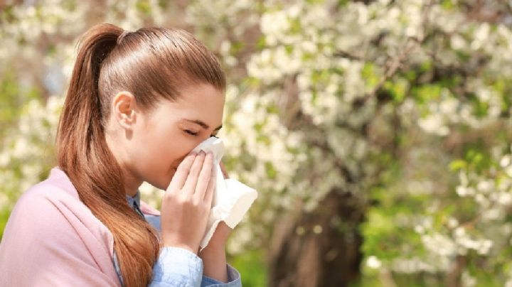 Tres plantas que purifican el aire y ayudan contra las alergias