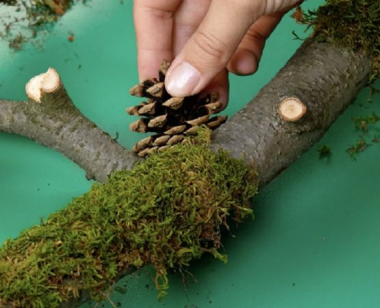 De la naturaleza a tu hogar: 5 ideas brillantes para convertir ramas secas en piezas de decoración