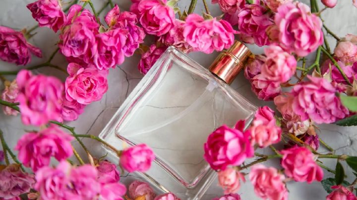 Descubre el encanto de las esencias florales y crea perfumes únicos desde tu jardín