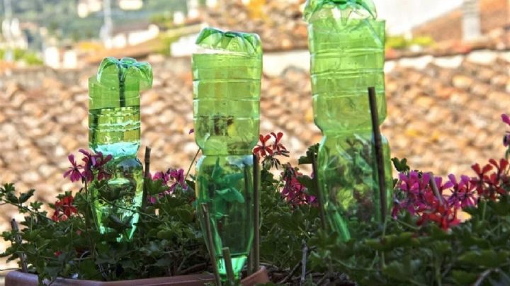 Dale nueva vida a tu jardín y contribuye al planeta con estas ingeniosas ideas de reciclaje
