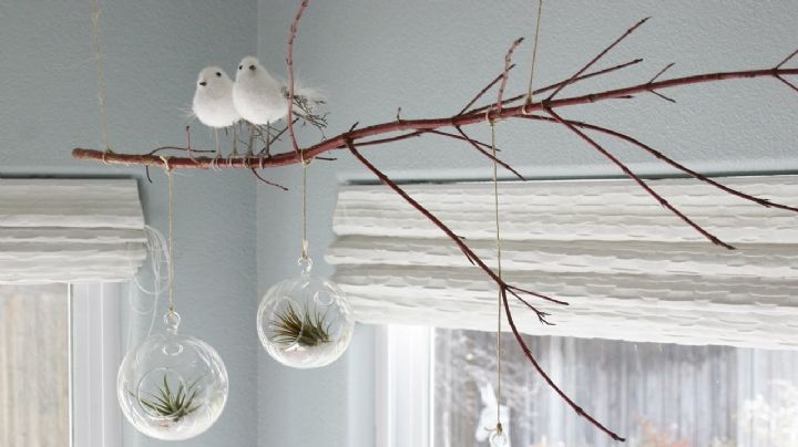 DIY: Aprovecha las ramas caídas del otoño y construye nueva decoración para tu hogar