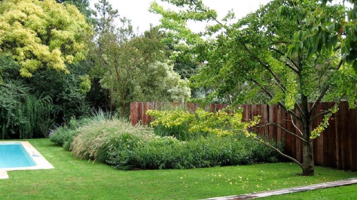 Haz de tu jardín en un oasis privado con cercos vivos que desbordan belleza y tranquilidad