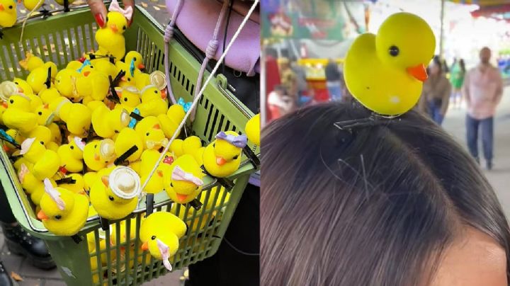 Patitos amarillos: se supo los motivos de la original tendencia