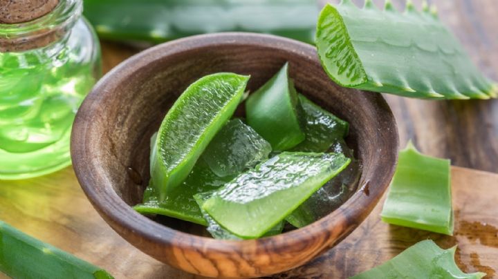 Jabón de Aloe vera casero: el secreto para una piel radiante