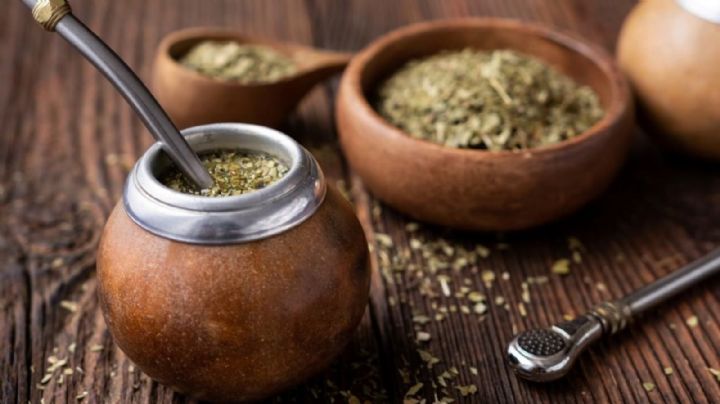 Yerba mate: ¿se puede consumir todos los días?