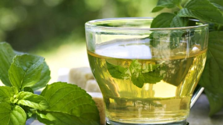 Té verde: un aliado para prevenir enfermedades