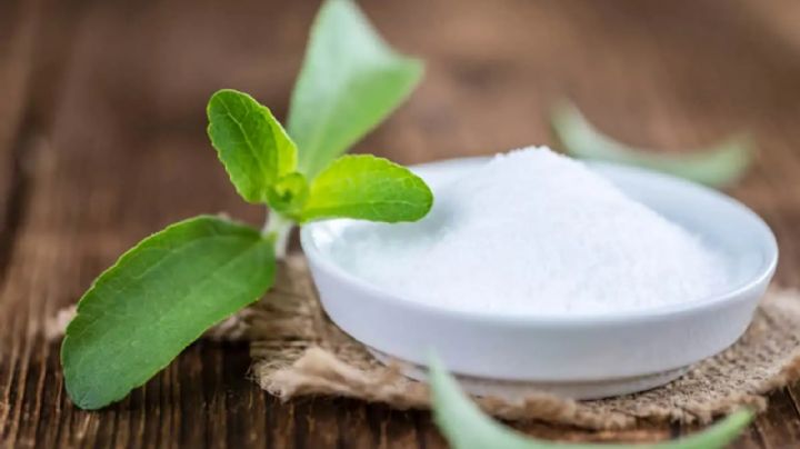 Stevia vs. azúcar: ¿cuál es mejor para tu salud?