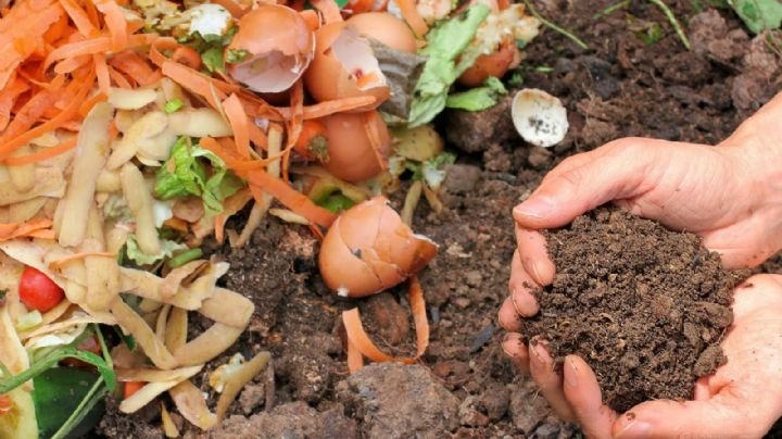 Trucos para preparar compost en casa con desperdicios de comida