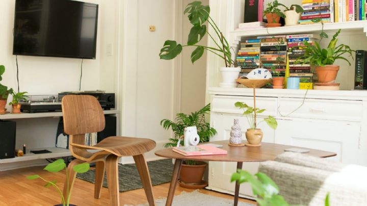 Decora tu hogar con el estilo Biofílico