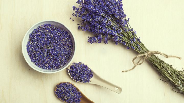 La lavanda: un ingrediente culinario que deja huella