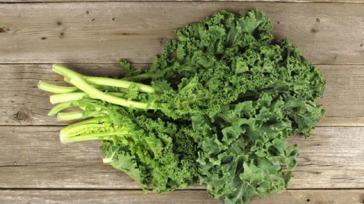 Kale: el alimento que contiene más calcio que la leche